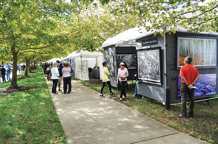 Port-Warwick-Art-Fest-Pic-C
